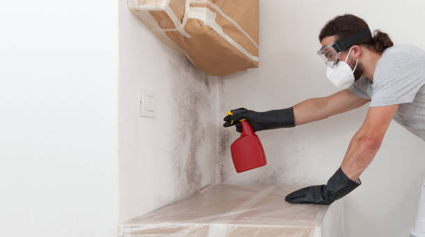 Professional Bathroom Mold Removal technician working in Boyce, VA