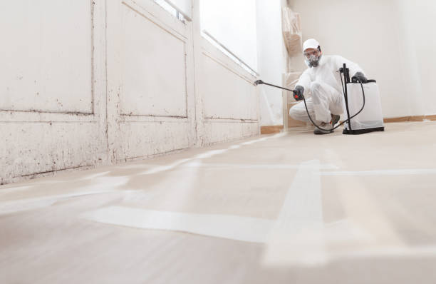 24/7 Emergency Bathroom Mold Removal experts in Boyce, VA